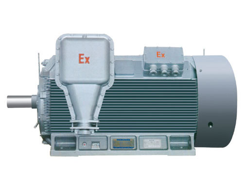 YB系列中型高压隔爆型三相异步电动机(H560～800)